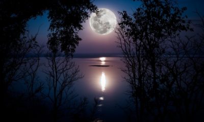 Elon Musk Promises to Literally Take Dogecoin to the Moon with SpaceX