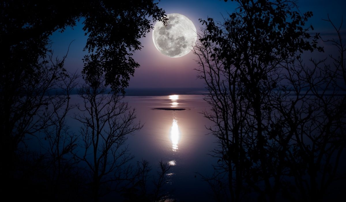 Elon Musk Promises to Literally Take Dogecoin to the Moon with SpaceX