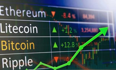 The Predictable Coins That Never Plummets