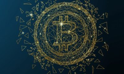 The Types Of Cryptocurrency Fanatics And Who Is On Top Of The Crypto Chain